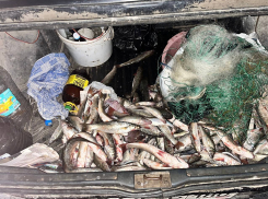 За вылов рыбы в нацпарке «Меотида» житель Новоазовска может сесть на 5 лет