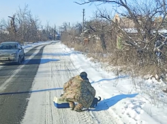 Волонтеры показали отлов одичавших кошек в приграничье ДНР