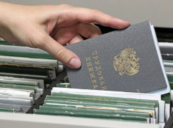 Потерянный стаж: как в ДНР подтвердить факт трудовой деятельности, если документы утрачены