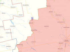 Шевченко и Новосергеевка в ДНР освобождены ВС РФ