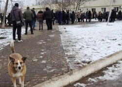 На прощание с гендиректором донецкого приюта для животных «ПИФ» пришли более 200 человек
