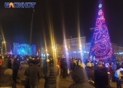 Ёлку поставят в центре Донецка, но есть нюанс