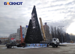 Будут ли в Донецке устанавливать новогоднюю ёлку на главной площади города