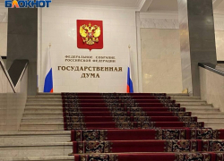 Госдума освободила от призыва добровольцев, служивших в войсках ДНР 