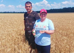 Колосись, пшеница: в Донецкой Народной Республике прошла апробация посевов