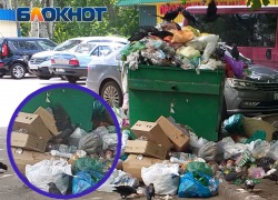 Дикие птицы осваивают свалки: жилые кварталы Донецка обрастают мусором