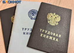 Жителей ДНР принимают в любых центрах занятости страны: какую помощь можно получить