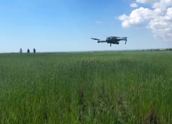Посевы погибли из-за аномальных условий: в ДНР проводится мониторинг сельхозугодий с помощью БпЛА
