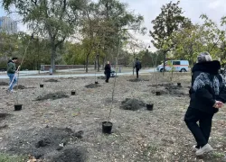 В честь Дня Воссоединения Донбасса молодежь высадила 50 дубов