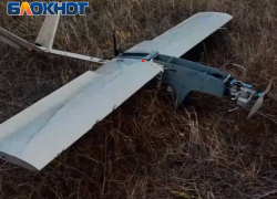 «Купол Донбасса» за минувшую неделю предотвратил более 700 атак вражеских БПЛА по территориям ДНР  