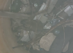 МЧС отказалось выезжать на спасение упавшей в 10-метровую яму собаки в Донецке