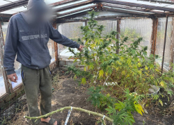 Более 18 кило каннабиса и 218 граммов пороха прятал в гараже житель Ясиноватой