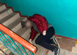  В Зугрэсе мужик убил знакомого потому что тот не покормил кота