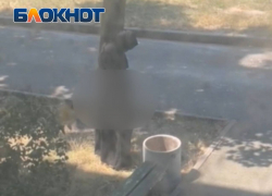 Онанист в никабе облюбовал один из дворов возле детского сада в Донецке