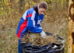 В День народного единства молодежь привела в порядок парк им. Пушкина на Азотном в Донецке