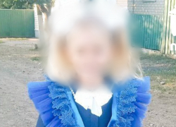 Тело зверски убитой 9-летней девочки обнаружили поисковики в ДНР