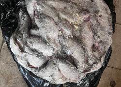 Браконьер из Шахтерска незаконно наловил рыбы на миллион рублей