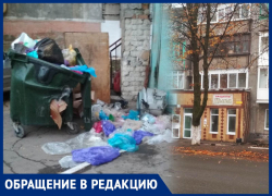 Мясной беспредел: магазин «Цыпа» в Макеевке разбрасывает помои по всему двору