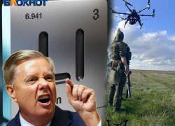 Литий наш: взятие Шевченко в ДНР стало оплеухой жадным русофобам, вроде Линдси Грэма*