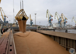 За первые дни 2024 года порт Мариуполя отгрузил 14 тысяч тонн зерна