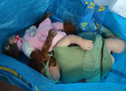 Дончанин набил обезьяну латвийскими наркотиками и попытался протащить в ДНР