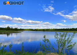 Всего 30 километров русел рек расчистили в ДНР за 2025 год