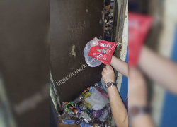 Свалка в квартире в Пролетарском районе Донецка: даже крысы бегут из такого жилья