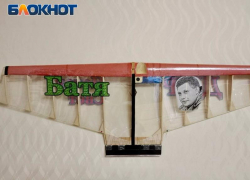 Самолеты  с портретами героев ДНР изготовили в авиаклубе Нового Света
