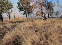 Пожар чуть не перебросился на населённый пункт в Новоазовском районе