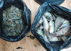 Сто тысяч ущерба: два браконьера наловили на Крынке почти две сотни рыб и раков