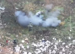 Поросенок спас российских  штурмовиков от подрыва на мине 