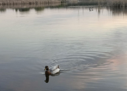 Студенты из 22 городов России работают над преображением прибрежной зоны в Донецке