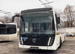 Сорок новых автобусов прибудет в ДНР до конца года