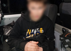 Ребенок упал в болото, убегая от стаи бродячих собак в Енакиево