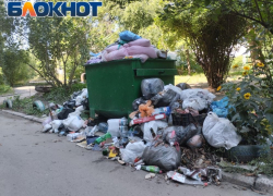 В Донецк доставят порядка 2 тысяч мусорных контейнеров