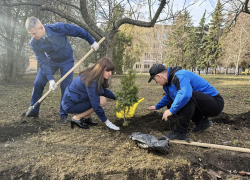 За две недели месячника по благоустройству «Зеленый Донбасс» высадили более 4 тысяч растений