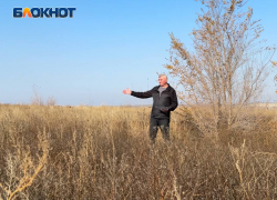 Приставами отказано: житель ДНР не может добиться от бывших арендаторов приведения в порядок своих сельхозземель