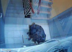 Бабушка в многоэтажке Донецка терроризирует соседей и грозится расправой из-за «шума»