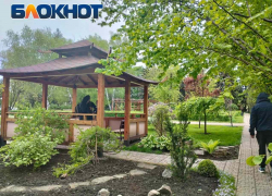 Коллекция Донецкого ботанического сада пополнена на фуру растений – это порядка 300 сортов