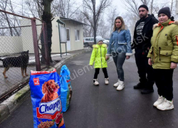 Семья из Донецка прививает детям сострадание и гуманность, помогая приюту для животных «Пиф» 