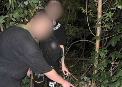 В Мариуполе задержали пару за распространение наркотиков
