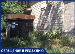 Жители Донецка просят убрать киоск, ставший очагом антисанитарии под домом