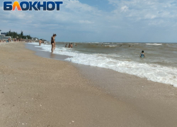 Денис Пушилин отметил чистоту Азовского моря и возвращение некоторых сортов рыбы