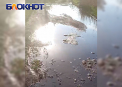 Жители Лидиевки в Донецке пожаловались на отсутствие воды в домах и постоянные порывы