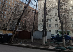 Аварийное дерево чуть не убило ребёнка на Петровского 113а в Донецке