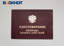 В ДНР ветеранам Великой Отечественной и защитникам Донбасса присвоят звания почетных граждан