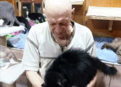 Шахтёр из Донецка превратил гараж в кошачий приют, кота взял даже Дима Билан 