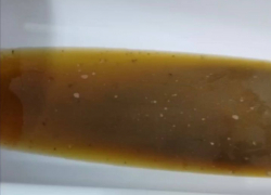 Десять домов в квартале Донецка вынуждены жить с забитой канализацией, водоканал не реагирует 