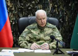 Бастрыкин взял на контроль дело о жестоком избиении девочки-инвалида в Макеевке