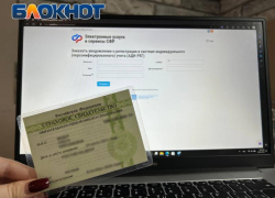Жители ДНР могут получить дубликат СНИЛС онлайн, минуя очереди в отделениях Социального фонда 
